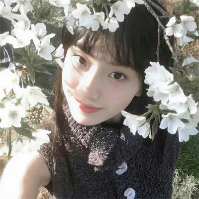 一起露营吧