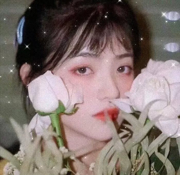 丫鬟大联盟